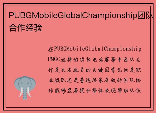 PUBGMobileGlobalChampionship团队合作经验