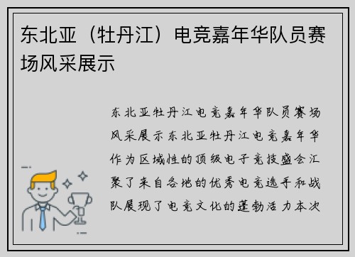 东北亚（牡丹江）电竞嘉年华队员赛场风采展示