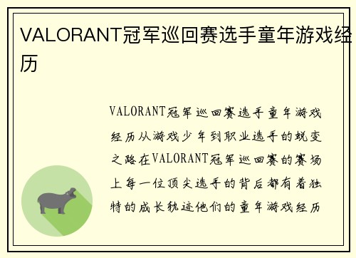 VALORANT冠军巡回赛选手童年游戏经历