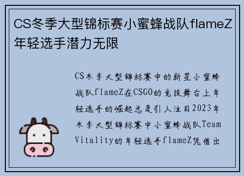 CS冬季大型锦标赛小蜜蜂战队flameZ年轻选手潜力无限